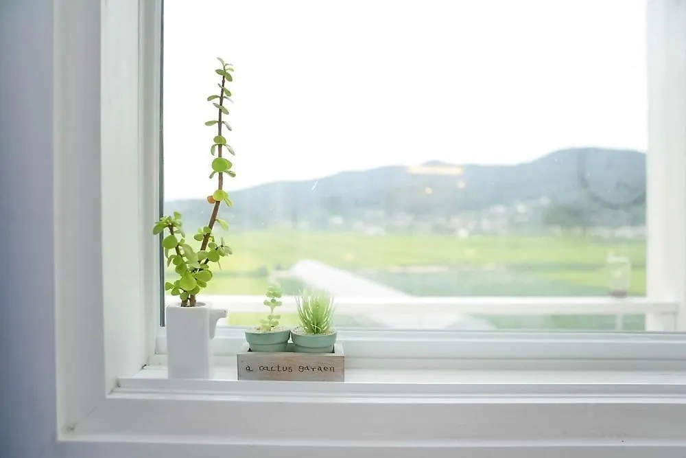 Guest house Amy Bada Hotel Incheon South Korea