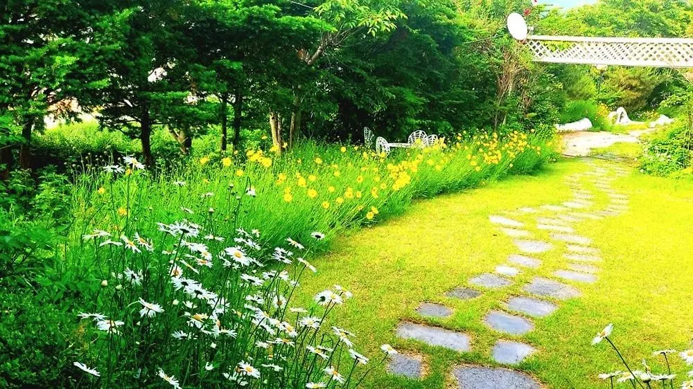 Amy Bada Hotel Incheon